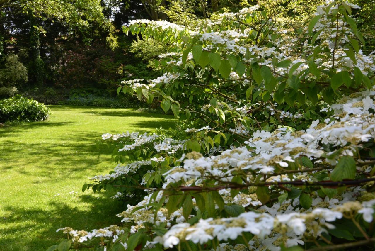 Bed and Breakfast Les Jardins Hoymille Экстерьер фото